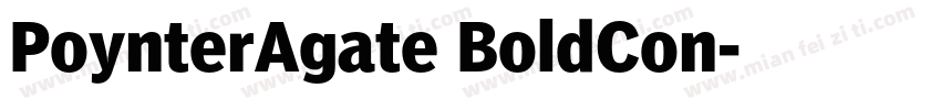 PoynterAgate BoldCon字体转换